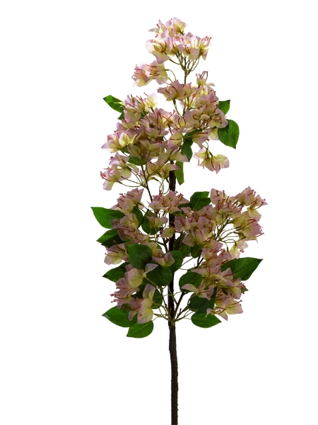 Picture of 43" BOUGAINVILLEA BRANCH