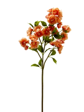 Picture of 31" CHERRY BLOSSOM
