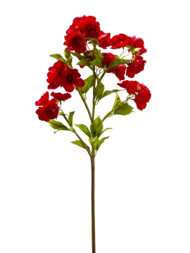 Picture of 31" CHERRY BLOSSOM