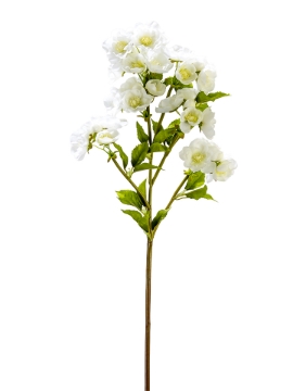 Picture of 31" CHERRY BLOSSOM