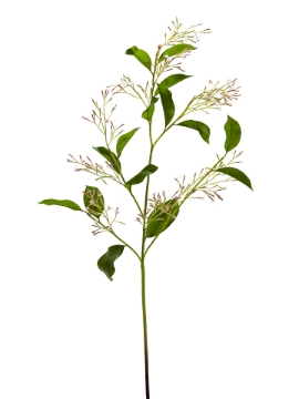Picture of 42" NIGHT-BLOOMING JASMINE SPRAY