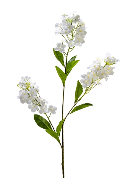 Picture of 38" RAPESEED FLOWER SPRAY
