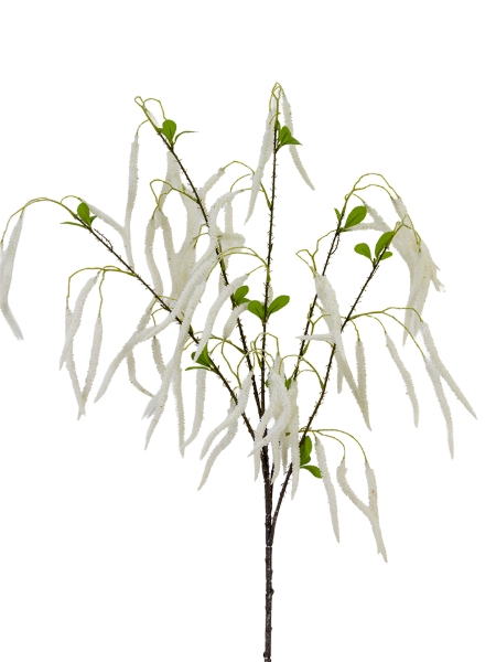 Picture of 49" FOXTAIL SPRAY