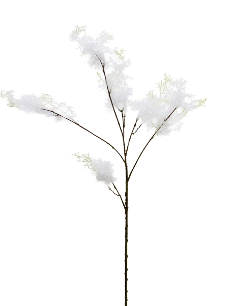 Picture of 36" SMOKE TREE SPRAY