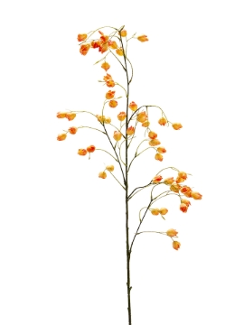 Picture of 44" BELLFLOWERS