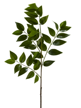 Picture of 36" NAGI SPRAY
