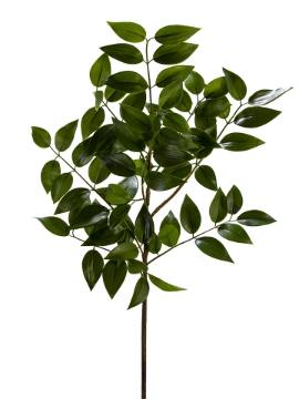 Picture of 37" NAGI SPRAY