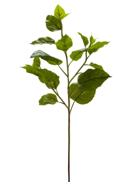 Picture of 33" PERILLA LEAF SPRAY