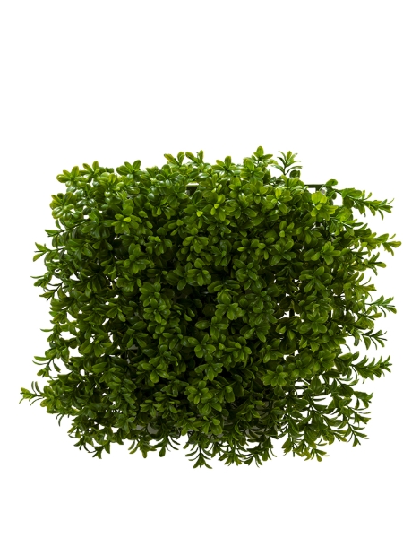 Picture of 10" X 10" BOXWOOD MAT