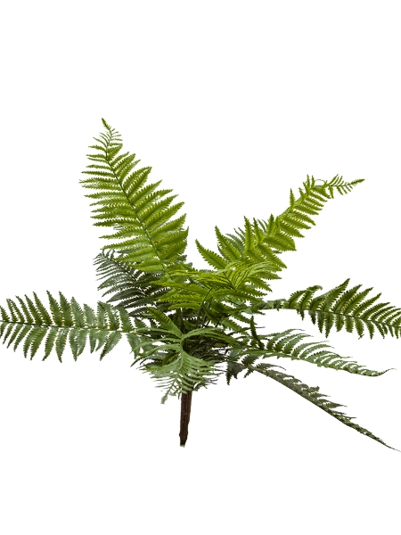 Picture of 25" UV PROTECTED PERSIAN FERN 