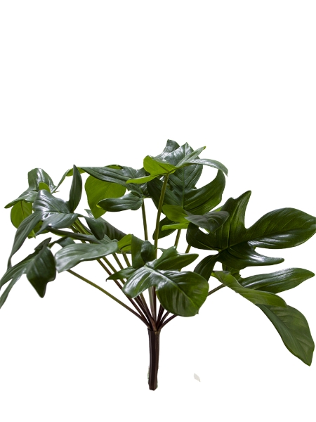 Picture of 18" PHILODENDRON BUSH