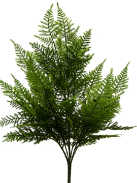 Picture of 25" FLOCKED FERN BUSH