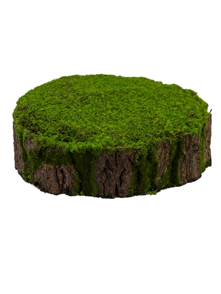 Picture of 13" X 4" MOSS STUMP