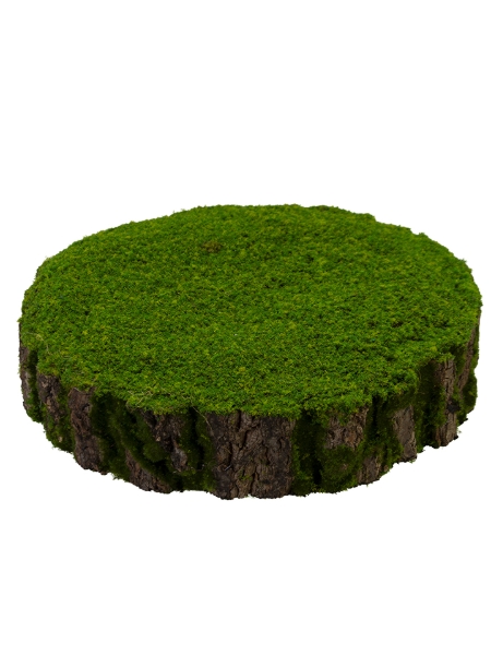 Picture of 17" X 4" MOSS STUMP