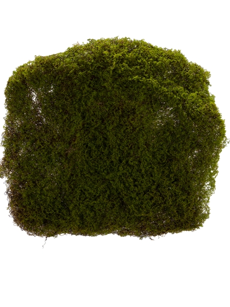 Picture of 12" X 12" MOSS MAT