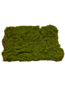 Picture of 20" X 17" MOSS MAT