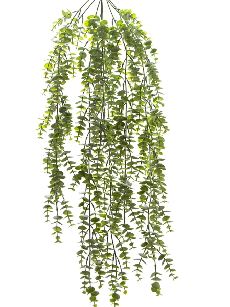 Picture of 31" FROSTED EUCALYPTUS HANGING VINE
