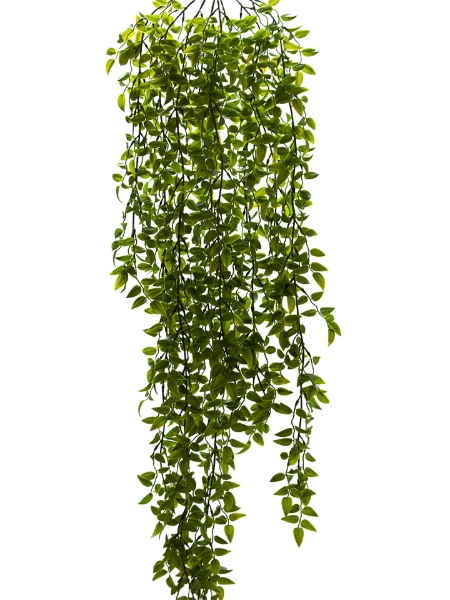 Picture of 40" EUPHORBIA HANGING VINE