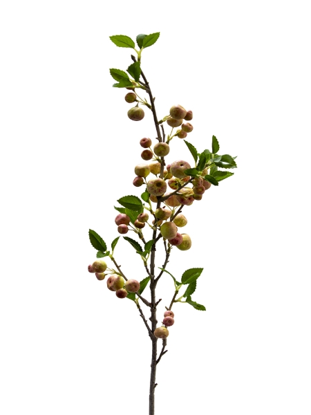 Picture of 35" APPLE SPRAY
