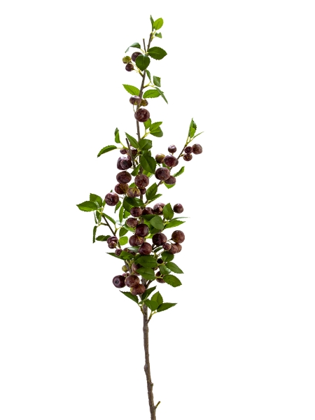 Picture of 43" APPLE SPRAY